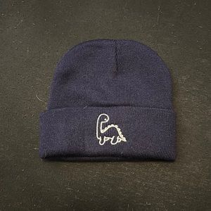Blue Dinosaur beanie!